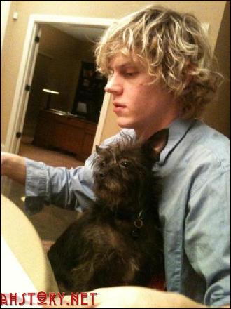 evan-peters-007 (500x667, 50 kБ...)